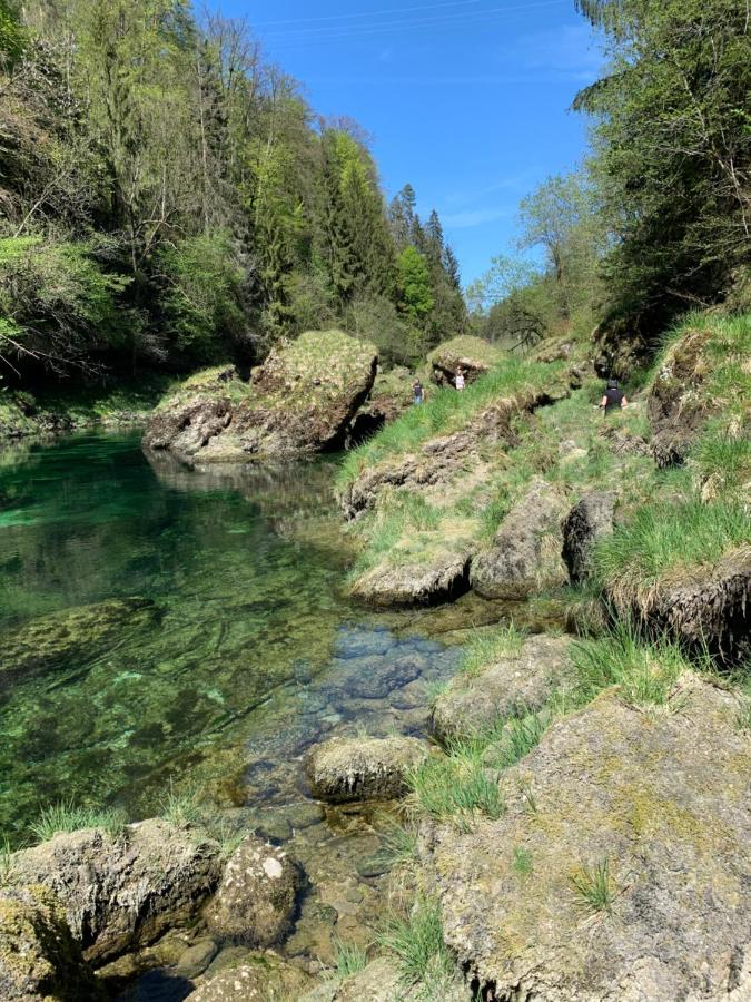 Ferienhaeuschen Am Traunsee Mit Tretboot Zur Freien Nutzung Am Badeplatz Altmünster المظهر الخارجي الصورة