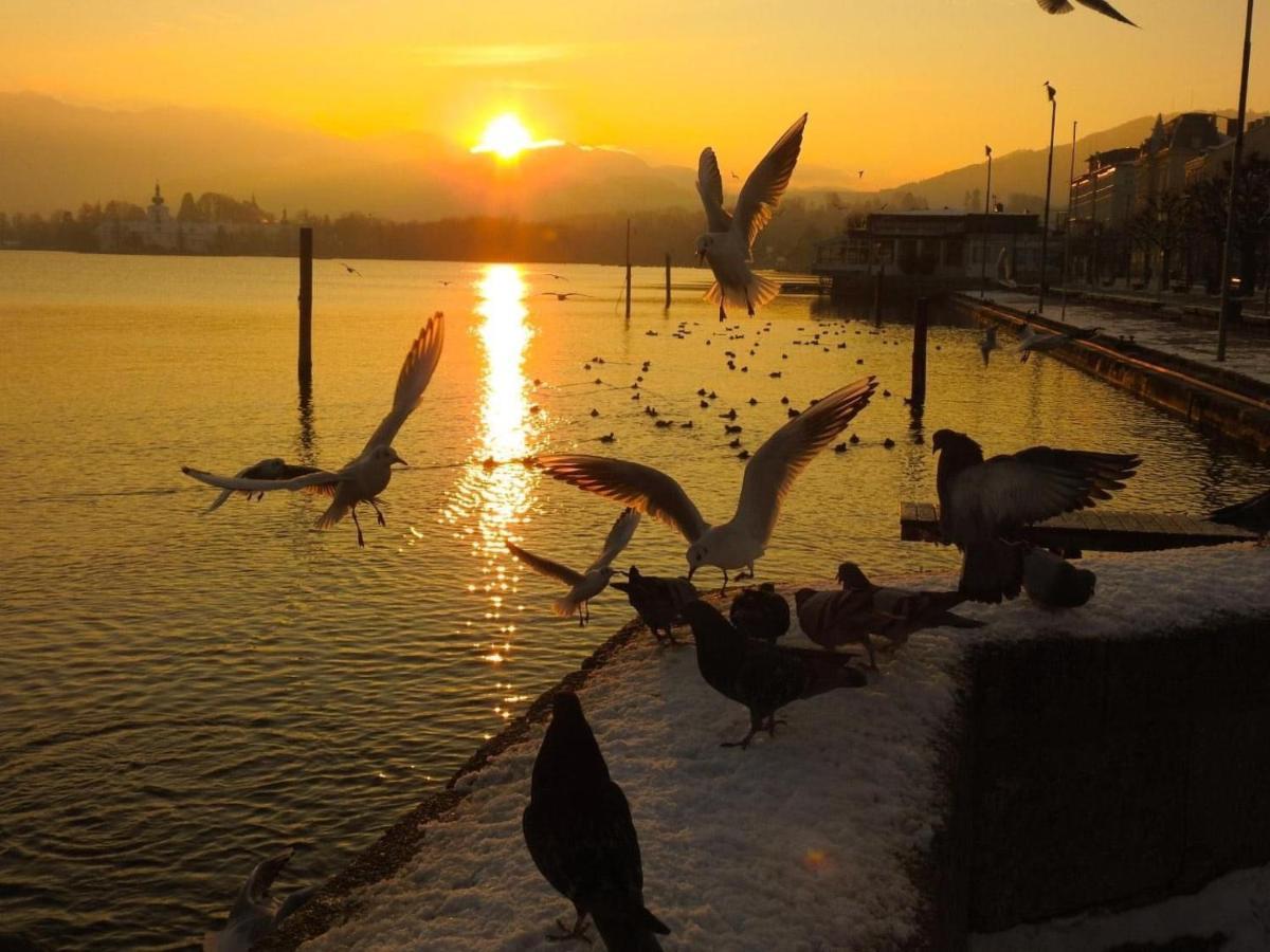 Ferienhaeuschen Am Traunsee Mit Tretboot Zur Freien Nutzung Am Badeplatz Altmünster المظهر الخارجي الصورة