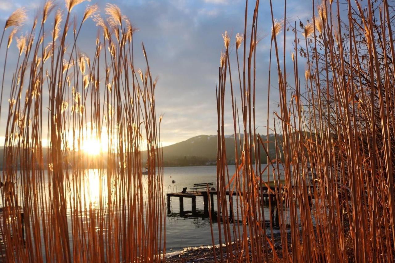 Ferienhaeuschen Am Traunsee Mit Tretboot Zur Freien Nutzung Am Badeplatz Altmünster المظهر الخارجي الصورة